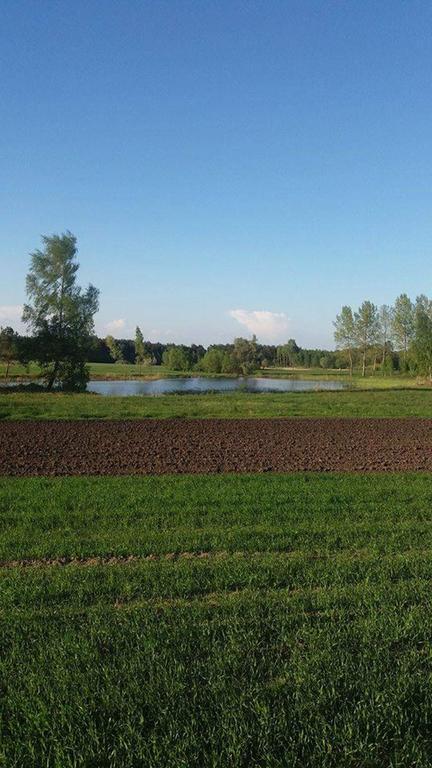 Gospodarstwo Agroturystyczne Zakatek Dabie  Exterior photo